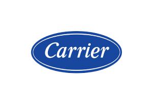 Carrier